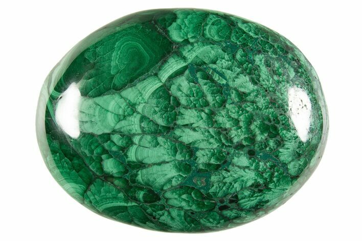 Polished Banded Malachite Palm Stone - DR Congo #321197